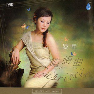 曼里歌曲:流下眼泪前歌词