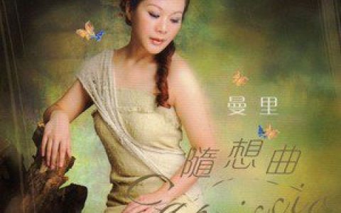 曼里歌曲:风雨同路歌词