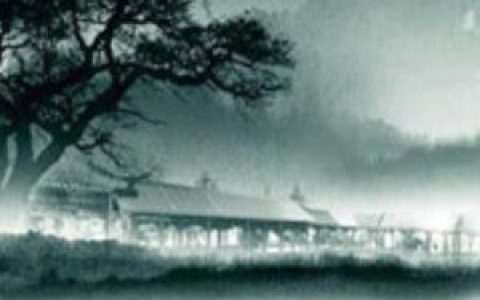 闻婷歌曲:雨人歌词