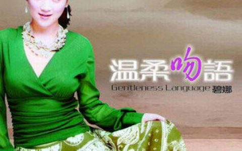 碧娜歌曲:其实我很在乎你歌词