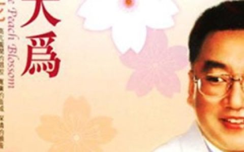 蒋大为歌曲:牡丹之歌歌词