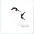 The White Birch歌曲:Storm-Broken Tree歌词