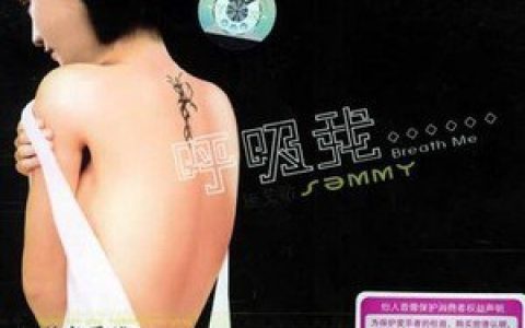 施艾敏歌曲:星晴歌词