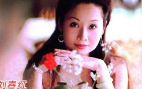 刘春红歌曲:爱你真的很好歌词
