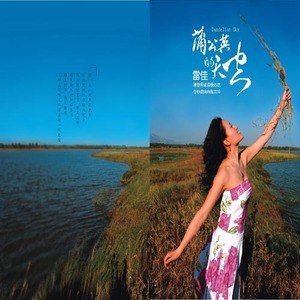 雷佳歌曲:情姐下河洗衣裳歌词