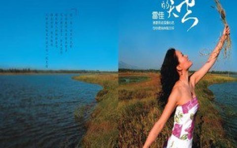 雷佳歌曲:月色歌词
