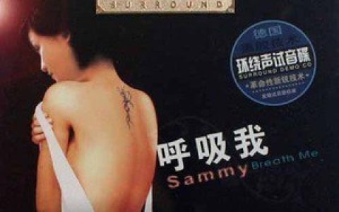 施艾敏歌曲:两只蝴蝶歌词