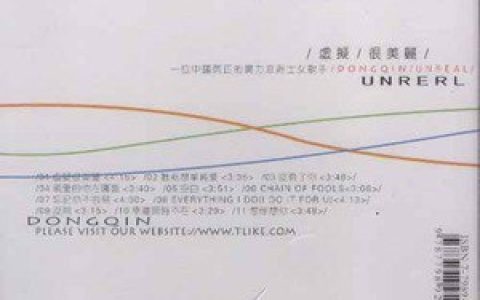 董沁歌曲:忘记你不容易歌词