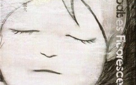 熊宝贝乐团歌曲:灰色歌词