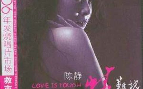 陈静歌曲:两两相望歌词