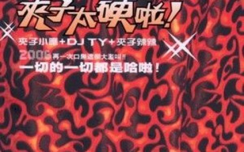 夹子电动大乐队歌曲:昨晚他们在干嘛歌词