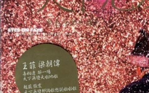 非凡组合歌曲:上海滩歌词