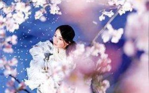 元千岁歌曲:Perfect歌词