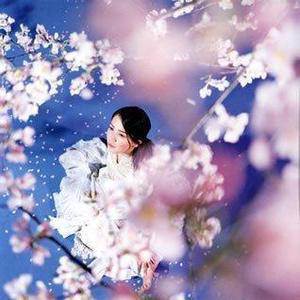 元千岁歌曲:Perfect歌词