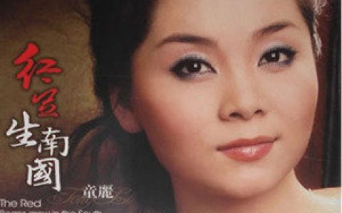 童丽歌曲:兰花花歌词