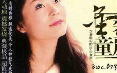 童丽歌曲:难忘今宵歌词