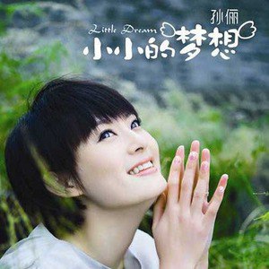 孙俪歌曲:小小的梦想 (演奏曲)歌词