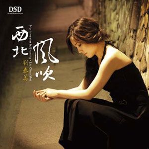 刘春美歌曲:烛光里的妈妈歌词