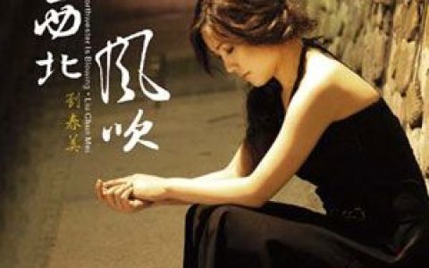 刘春美歌曲:山不转水转歌词