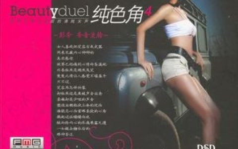 彭芳歌曲:隐形的翅膀歌词