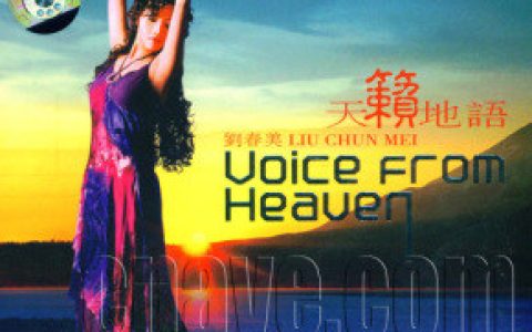 刘春美歌曲:月琴歌词