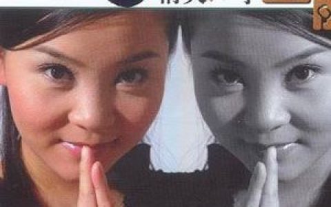 童丽歌曲:酒干倘卖无歌词