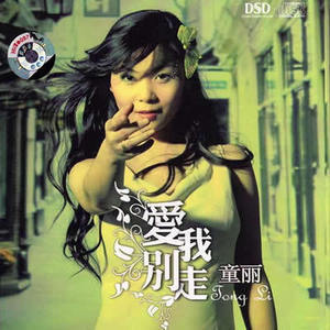 童丽歌曲:爱来的时候歌词