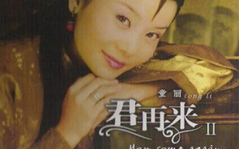 童丽歌曲:情迷歌词