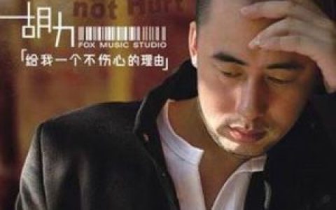 胡力歌曲:给我一个不伤心的理由 (伴奏)歌词