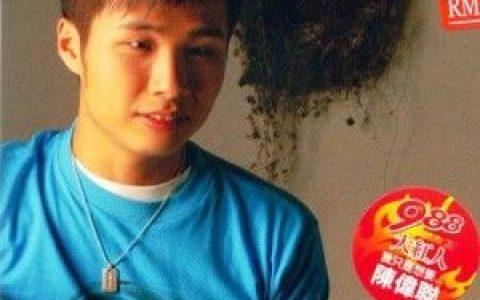 陈伟联歌曲:月亮代表我的心歌词