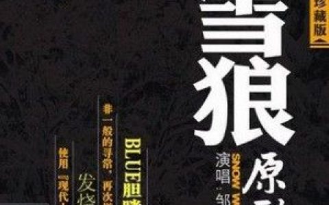 邹畅歌曲:缺口歌词