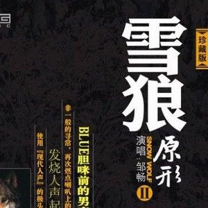 邹畅歌曲:缺口歌词