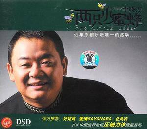 李晓杰歌曲:两只小蜜蜂 (伴奏)歌词