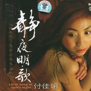 付佳明歌曲:今宵多珍重歌词
