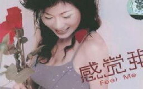 黎明花歌曲:断点歌词