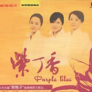 紫丁香歌曲:三年歌词