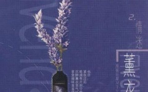 杂锦合辑2歌曲:原来你什么都不要 - 张惠妹歌词