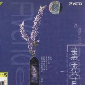 杂锦合辑2歌曲:月亮惹的祸 - 张宇歌词