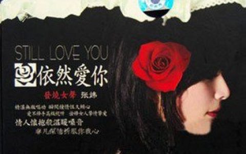 张炜歌曲:归来的燕子歌词