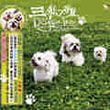 杂锦合辑2歌曲:追风少年歌词