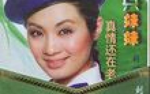 刘一祯歌曲:美丽的眼睛歌词