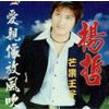 杨哲歌曲:挂心(模仿版)歌词