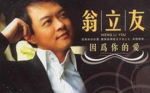 翁立友歌曲:痴情歌词