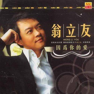 翁立友歌曲:勉强歌词
