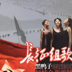 黑鸭子合唱组歌曲:突破封锁线歌词