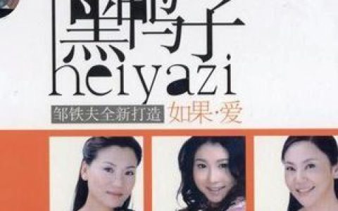 黑鸭子合唱组歌曲:别说我的眼泪你无所谓歌词