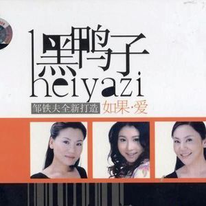 黑鸭子合唱组歌曲:别说我的眼泪你无所谓歌词