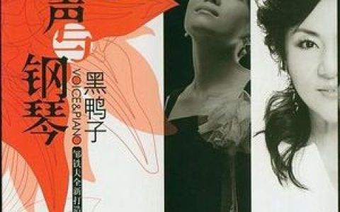 黑鸭子合唱组歌曲:我是不是你最疼爱的人歌词