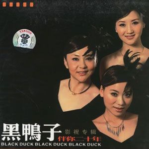 黑鸭子合唱组歌曲:昨夜星辰歌词