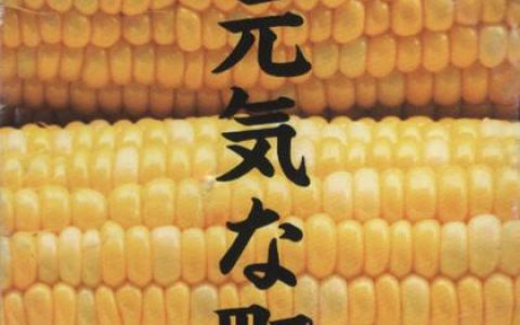 玉置浩二歌曲:元気な町歌词